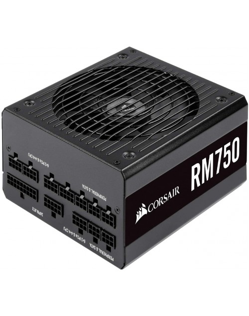 Corsair RM750 750 WATT 80 Plus Gold Certified Fully Modular Power Supply